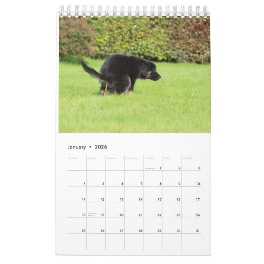Dog Agenda 2023 Kalender (Jan 2026)