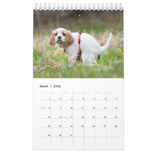 Dog Agenda 2023 Kalender (Mar 2026)