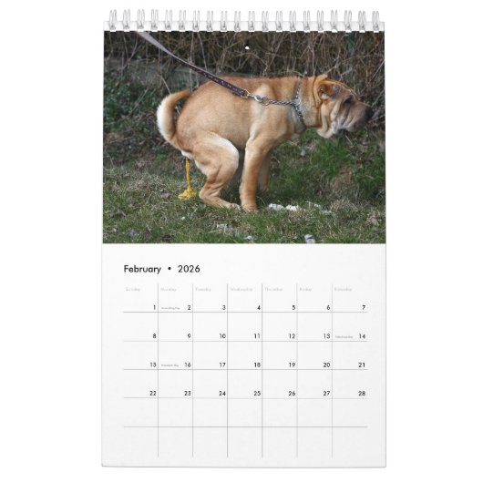 Dog Agenda 2023 Kalender (Feb 2026)