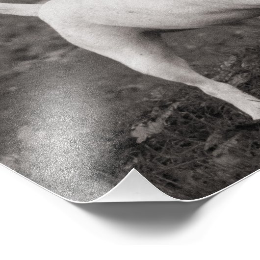 Dog Agog Foto Afdruk (Hoek)