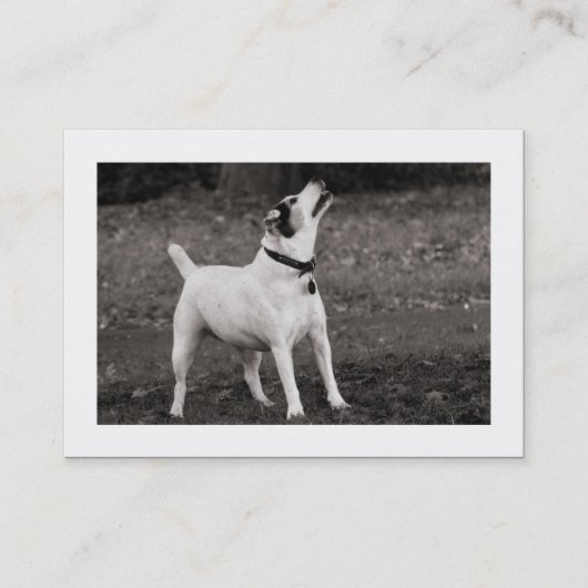 Dog Agog (grens) Visitekaartje (Voorkant)