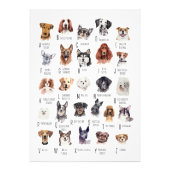 Dog Alphabet Poster (Voorkant)