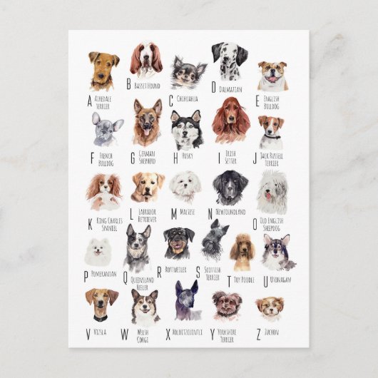 Dog Alphabet Waterverf Briefkaart (Voorkant)