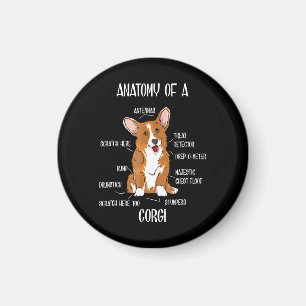 Dog Anatomy, Cute Welsh Corgi Puppy Biology Gift. Magneet