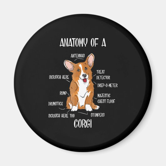 Dog Anatomy, Cute Welsh Corgi Puppy Biology Gift. Magneet (Voorkant)