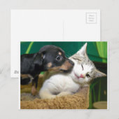 Dog and cat briefkaart (Voorkant / Achterkant)