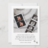 Dog and Cat Pregnancy Announcement Aankondiging (Achterkant)