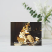 Dog and Cat Veterinary Appointment Briefkaart (Staand voorkant)