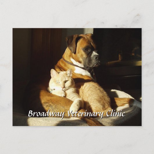 Dog and Cat Veterinary Appointment Briefkaart (Voorkant)