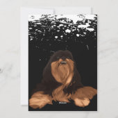 DOG AND CAT WATCHING TV |Cute Pug Owner Feestdagenkaart (Achterkant)