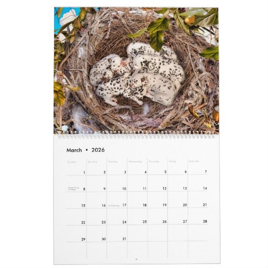 DOG ART CALENDAR #2 Large & Small Breeds Kalender (Mar 2026)