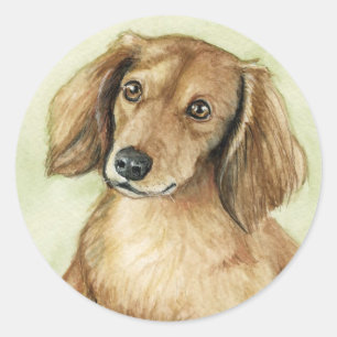 Dog Art Stickers "Long Haire Dachshund"