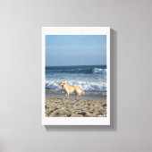 Dog At The Beach Canvas Afdruk (Voorkant)