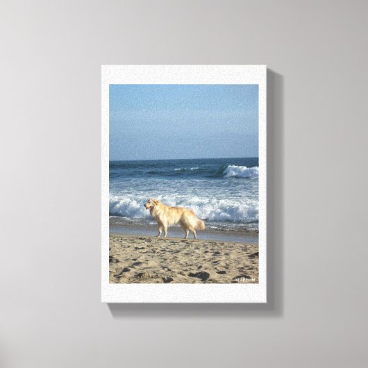 Dog At The Beach Canvas Afdruk (Voorkant)