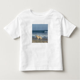 Dog At The Beach Kinder Shirts