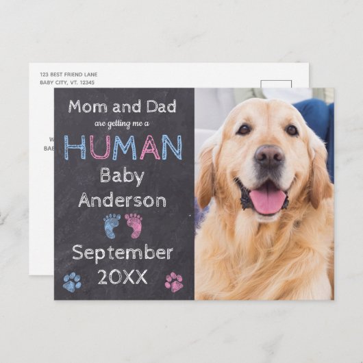 Dog Baby Zwangerschap Aankondiging Briefkaart (Voorkant / Achterkant)