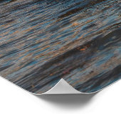 Dog Bar Lighthouse langs de oceaankust Poster (Hoek)