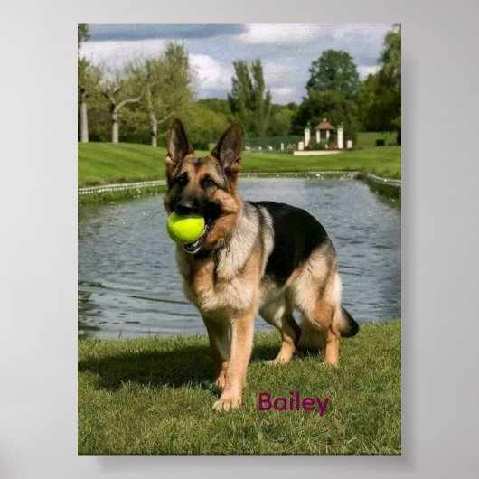 Dog Bathroom Wall Art, Boxer Taking a Bath Poster (Voorkant)