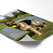 Dog Bathroom Wall Art, Boxer Taking a Bath Poster (Hoek)