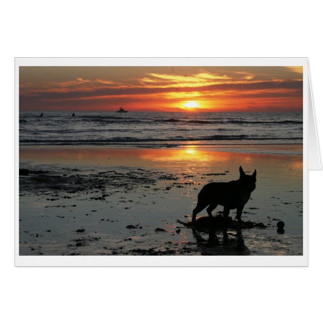 Dog Beach (Voorkant Horizontaal)