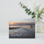 Dog Beach, Ocean Beach Briefkaart (Staand voorkant)