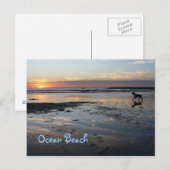 Dog Beach, Ocean Beach Briefkaart (Voorkant / Achterkant)