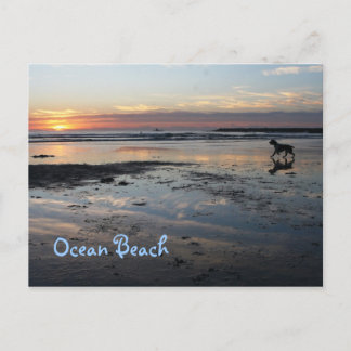 Dog Beach, Ocean Beach Briefkaart