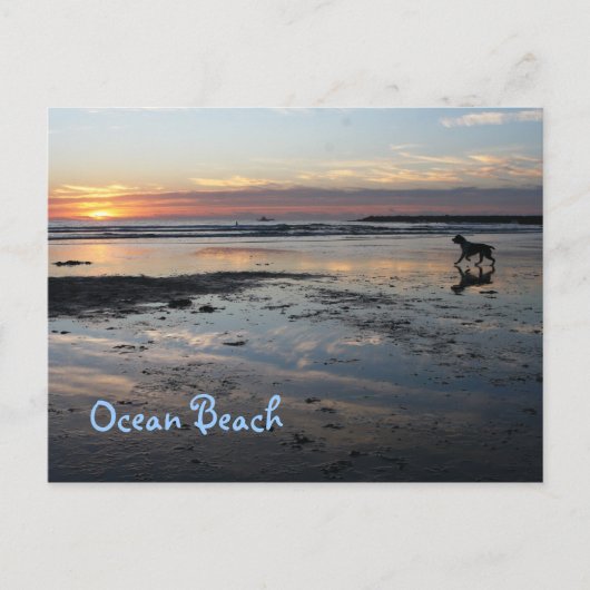 Dog Beach, Ocean Beach Briefkaart (Voorkant)