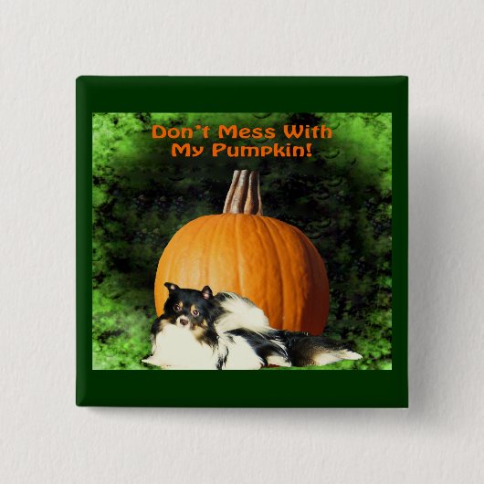 Dog beschermt grote pompoen Halloween Vierkante Button 5,1 Cm (Voorkant)