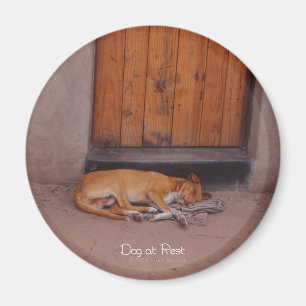 Dog bij Rest Round Magnet