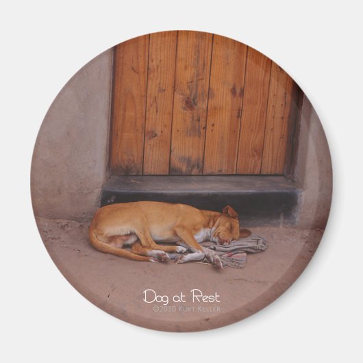 Dog bij Rest Round Magnet (Voorkant)