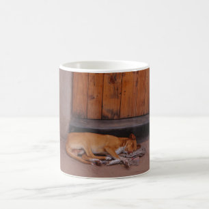 Dog bij rustperiode Mok