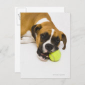 Dog bijten tennisbal briefkaart (Voorkant / Achterkant)