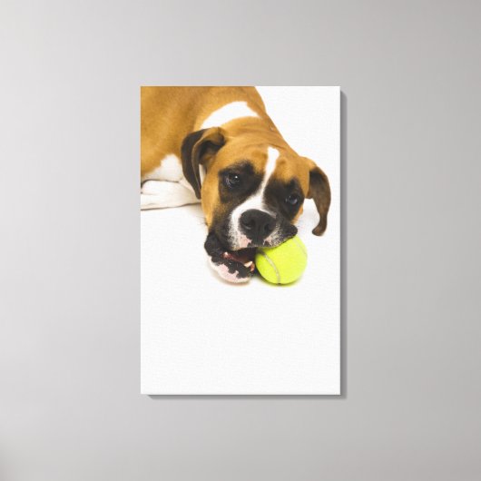 Dog bijten tennisbal canvas afdruk (Voorkant)