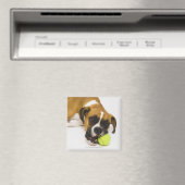 Dog bijten tennisbal magneet (Insitu (Vaatwasser))