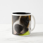 Dog bijten tennisbal tweekleurige koffiemok (Voorkant rechts)