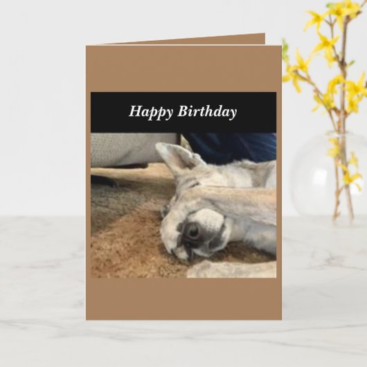 Dog Birthday Card Kaart (Gele Bloem)