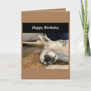 Dog Birthday Card Kaart