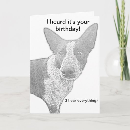Dog Birthday Card Pun Kaart (Voorkant)