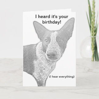 Dog Birthday Card Pun Kaart