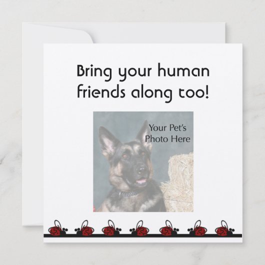 Dog Birthday Invites Kaart (Achterkant)