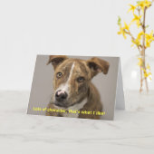 Dog Birthday Kaart (Gele Bloem)