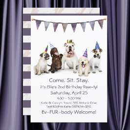 Dog Birthday Party Any Puppy Kaart