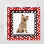 Dog Birthday Party, Doggie Picnic in Park Kaart (Achterkant)