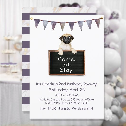 Dog Birthday Party for any Pug Kaart