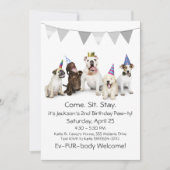 Dog Birthday Party for Boy Puppy Invitation Kaart (Voorkant)