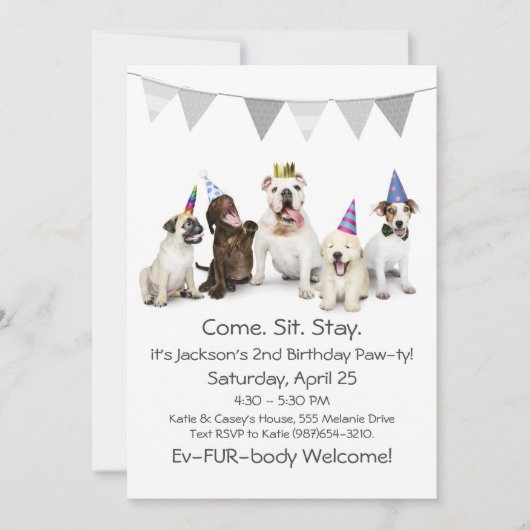 Dog Birthday Party for Boy Puppy Invitation Kaart (Voorkant)