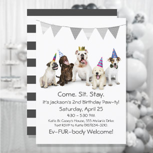 Dog Birthday Party for Boy Puppy Invitation Kaart