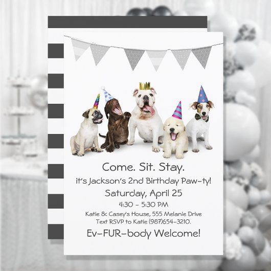 Dog Birthday Party for Boy Puppy Invitation Kaart
