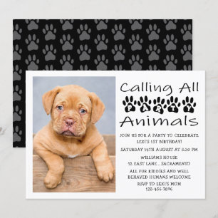 Dog Birthday Photo Kaart